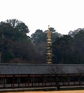 NARA - Temple Todai-Ji - 18.01.2024 -26